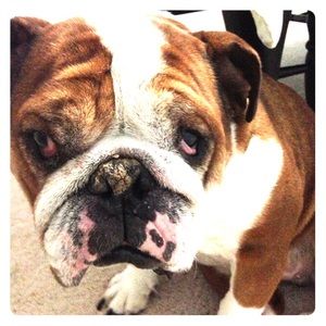 Not for sale .... lol